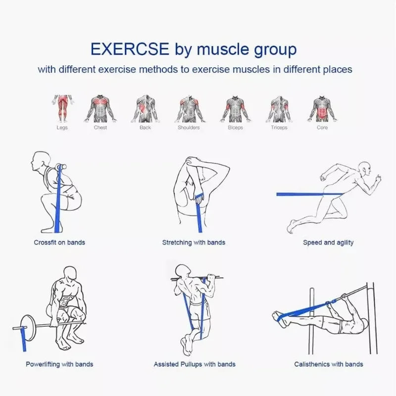 Resistance Bands – Elastic Exercise Bands for Home Workout & Strength Training