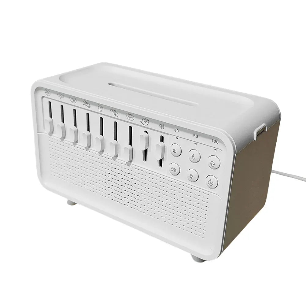 White Noise Machine & Flame Air Diffuser